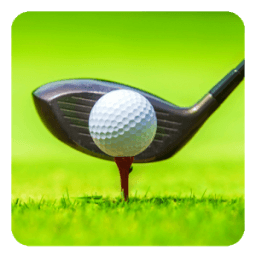 Play Golf icon