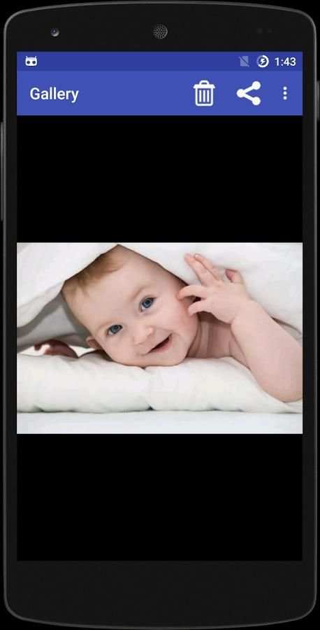 Pic Gallery screenshot 2
