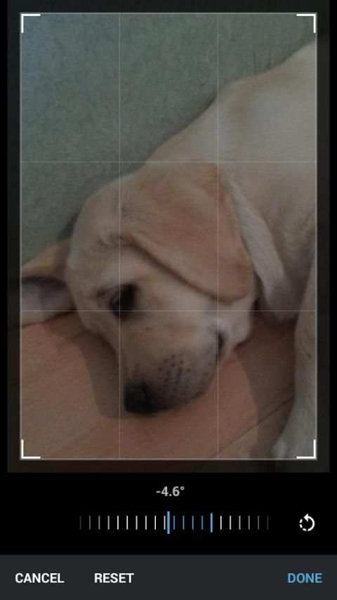 TCamera скриншот 1