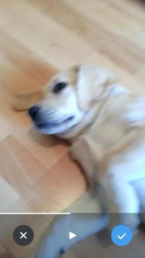TCamera скриншот 2