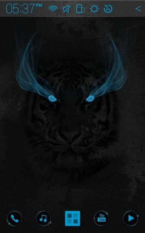 Wild Light Atom theme screenshot 5