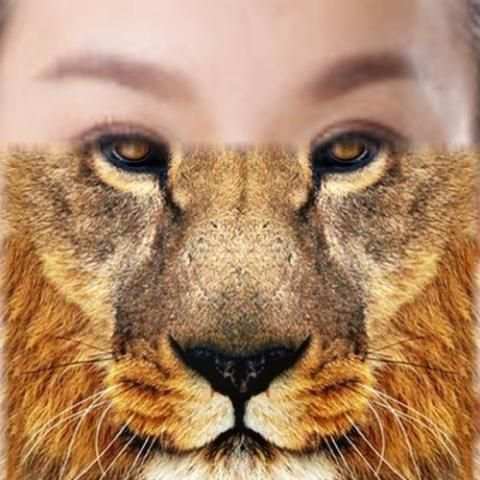 Tiger - Animal Face Maker screenshot 2