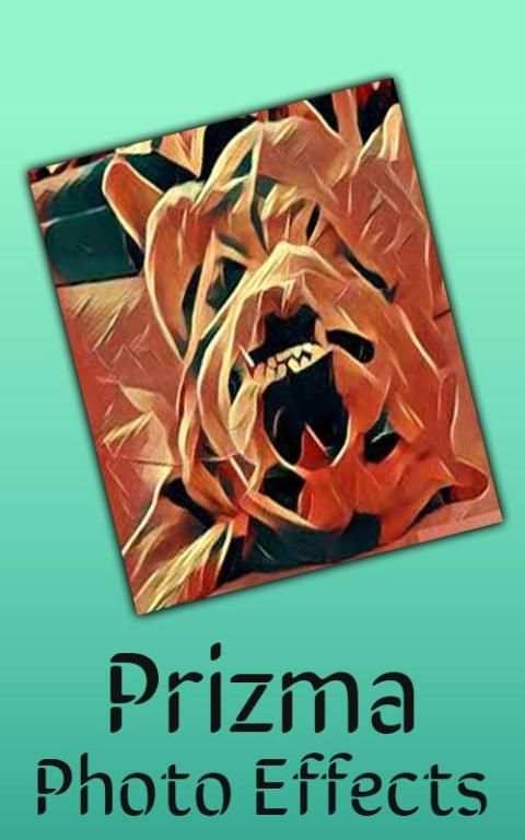 Art Camera Effect Prisma. Type 2 تصوير الشاشة