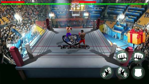 King of Boxing（3D） screenshot 3