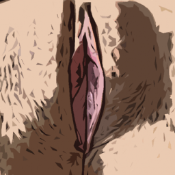 Sex Game-Oral Foreplay Trainer icon