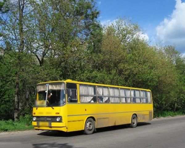Jigsaw Puzzles IKARUS Bus screenshot 2