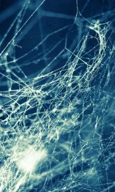 Redmi 2 Prime Wallpapers screenshot 4
