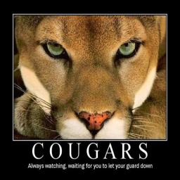 Cougar Life Dating icon