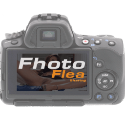 Foto Flea icon