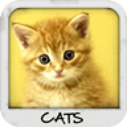 Cats Wallpapers иконка