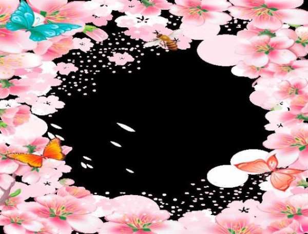 Butterfly Photo Frames скриншот 3