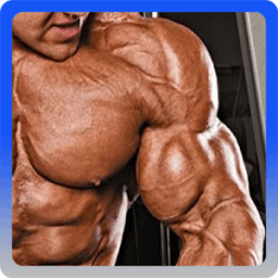 Bodybuilding Workout icon