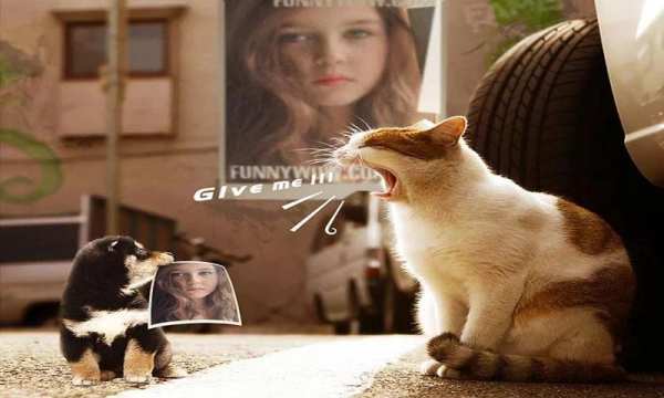 Cute Photo Editor screenshot 4