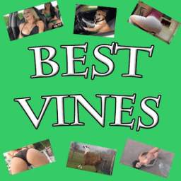 Best Vines Video 0.1