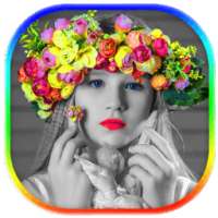 रंग प्रभाव तस्वीर संपादन