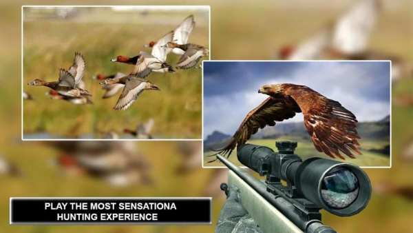 Jungle Sniper Birds Hunter screenshot 3