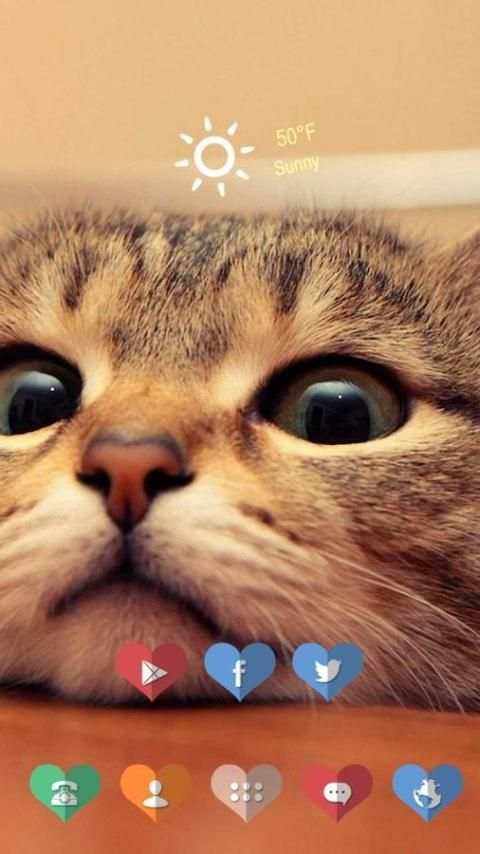 The Funny Cat screenshot 2