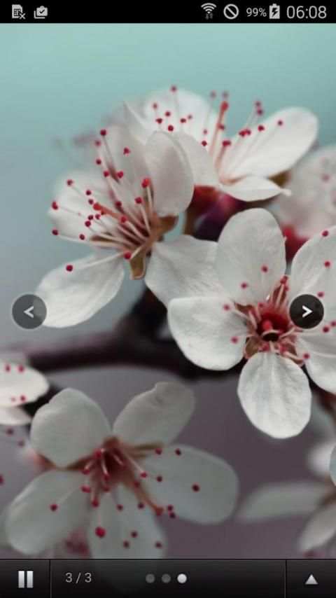 Tosbaga Puzzle screenshot 1