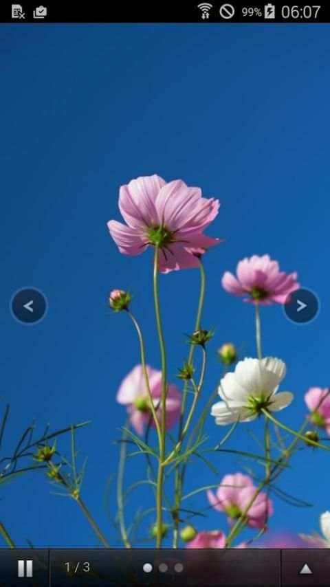 Tosbaga Puzzle screenshot 3