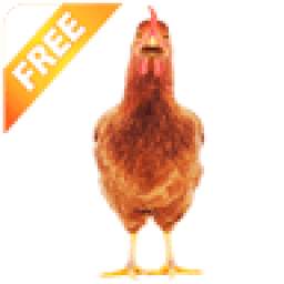 Real Talking Chicken 1.1