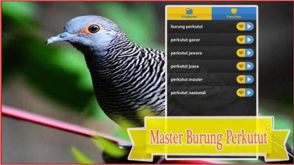 Master Burung Perkutut screenshot 2