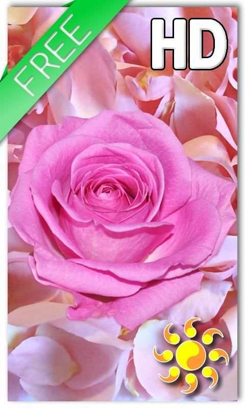 Rose Petals Live Wallpaper 3 تصوير الشاشة