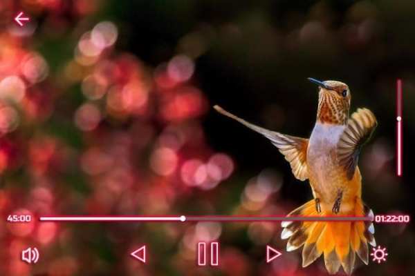 Max Player 4 تصوير الشاشة