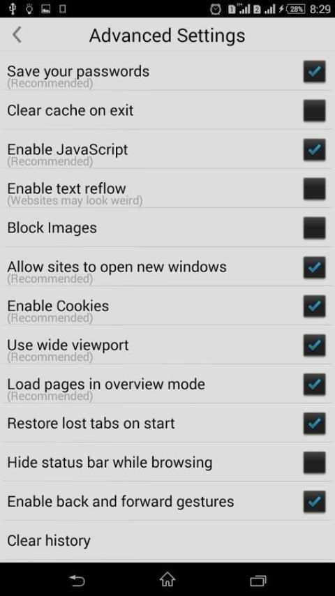 Falcon Browser screenshot 3
