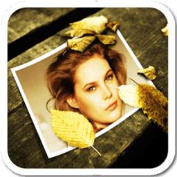FunnyFrame 0.0.1