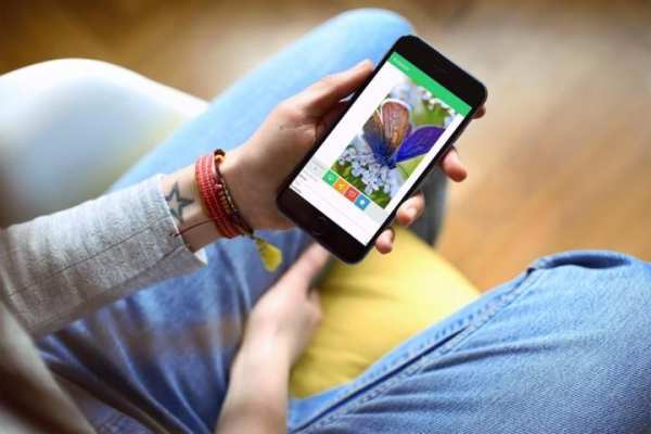 Wallpaper Ringtones 4 WhatsApp screenshot 3