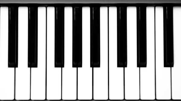 Play Piano screenshot 1