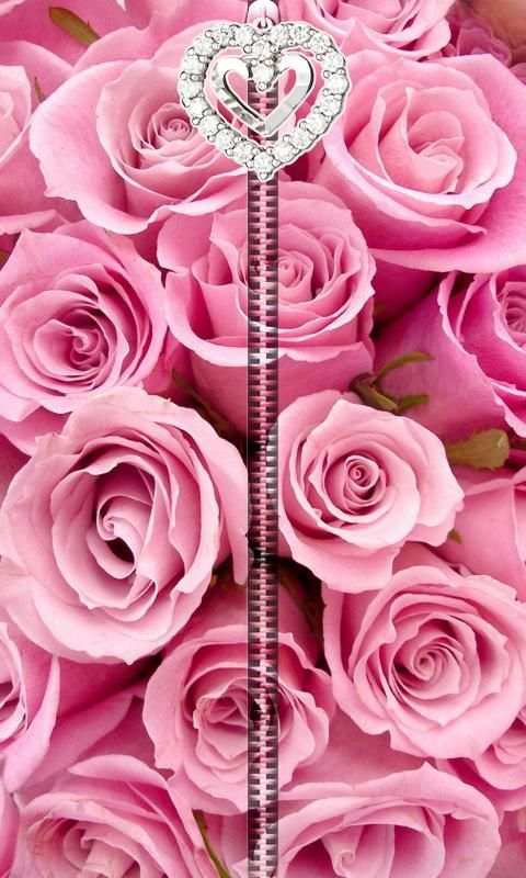 Pink Roses Zipper UnLock скриншот 5