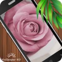 Rose Wallpaper HD on 9Apps