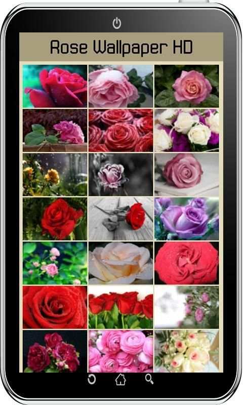 Rose Wallpaper HD 8 تصوير الشاشة