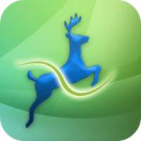 Deer Browser