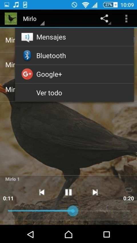 Canto del mirlo screenshot 1