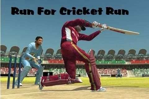 Best Cricket Game The Run screenshot 5