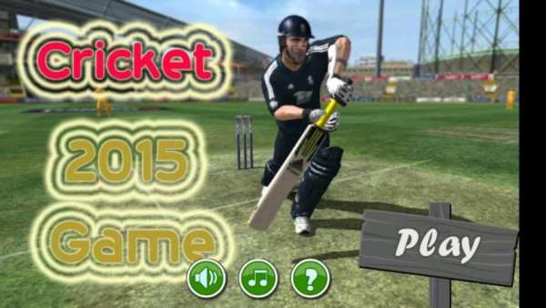 Best Cricket Game The Run screenshot 6
