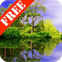 Forest Pond Free