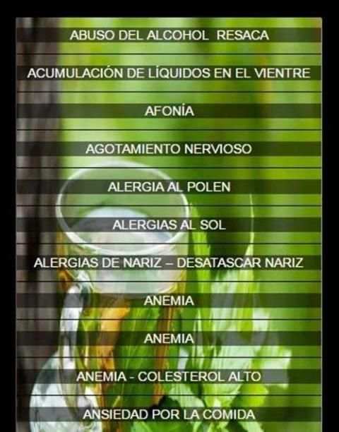 Recetas para Farmacia Natural screenshot 2