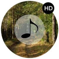 Forest Sounds - Forest Music on 9Apps