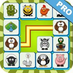 Onet Connect Pro