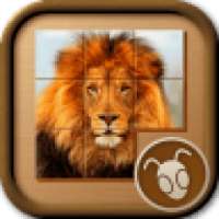 Ultimate Slide Puzzles