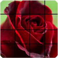 Rose Flower Puzzle on 9Apps
