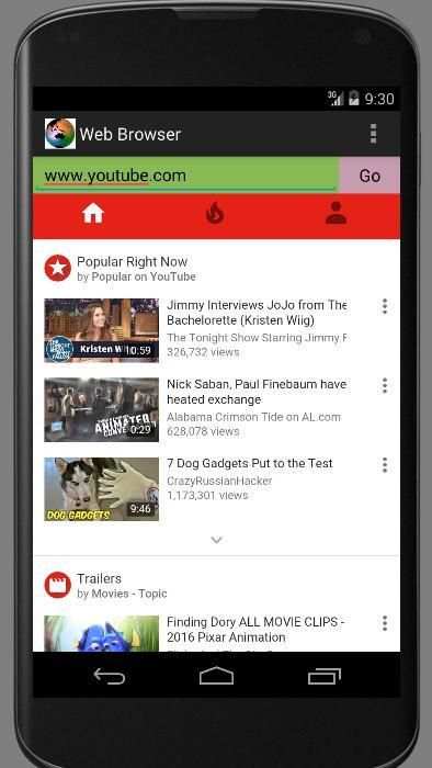 Web Browser screenshot 2