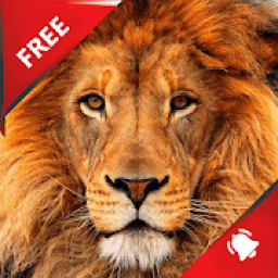 Animal Sounds - free Ringtones icon