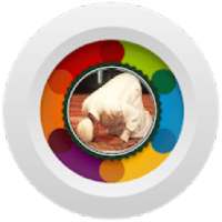 تعليم الصلاة الصحيحة
‎ on 9Apps