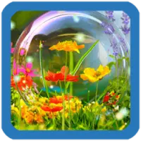 Spring Live Wallpaper