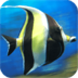 Five In A Line иконка