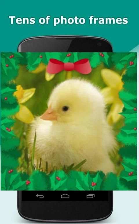 Photo in frames - Funny photo скриншот 8